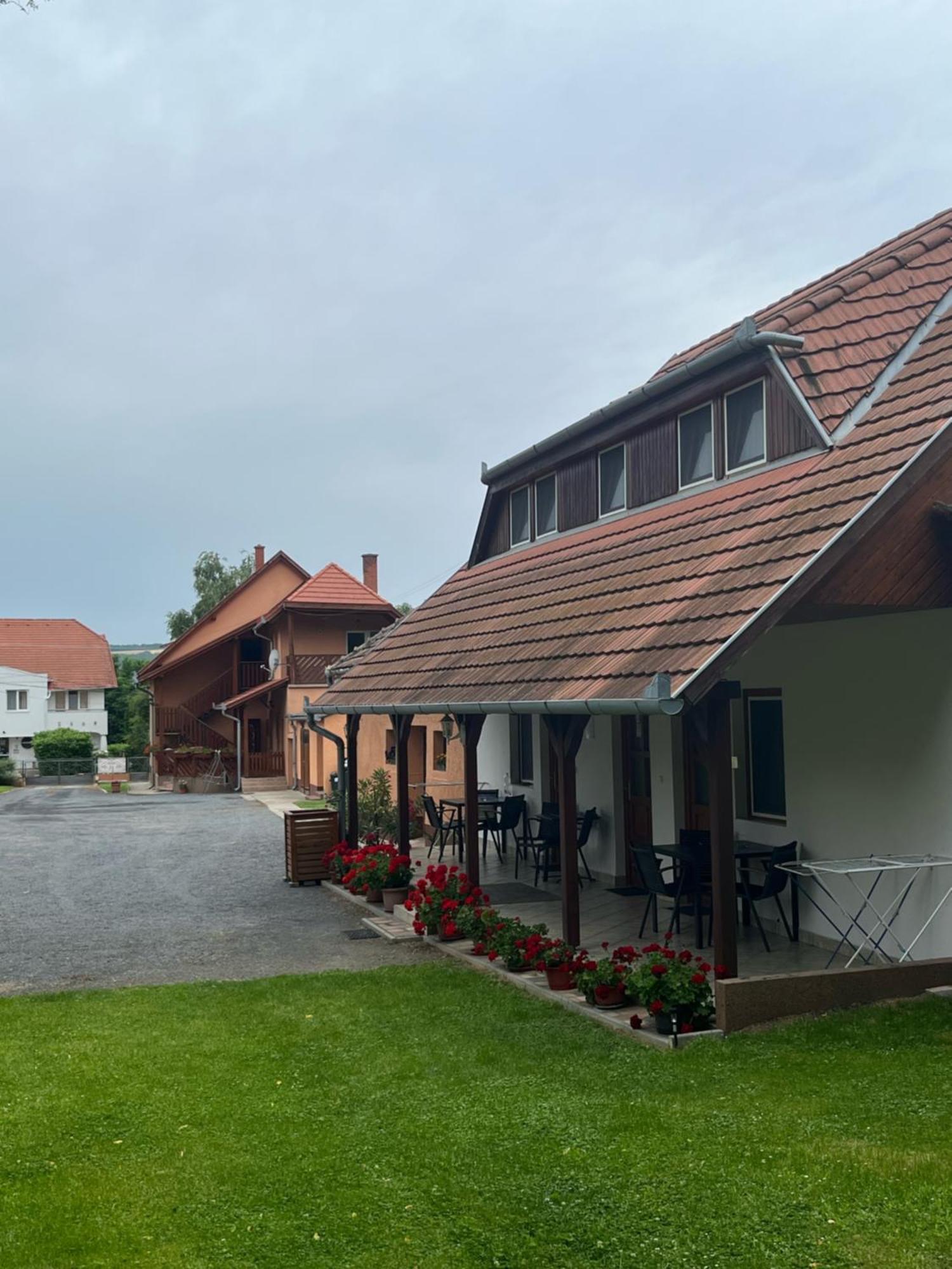 Ibolya Vendeghaz Apartment Kehidakustány Екстериор снимка